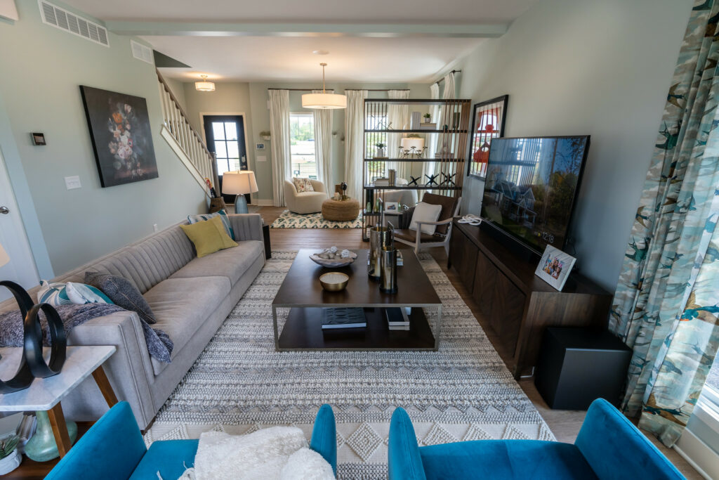 Living Room Area Rug