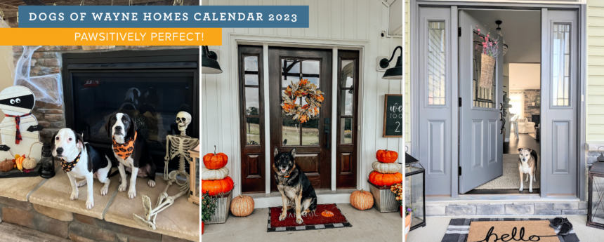Dog Calendar 2023