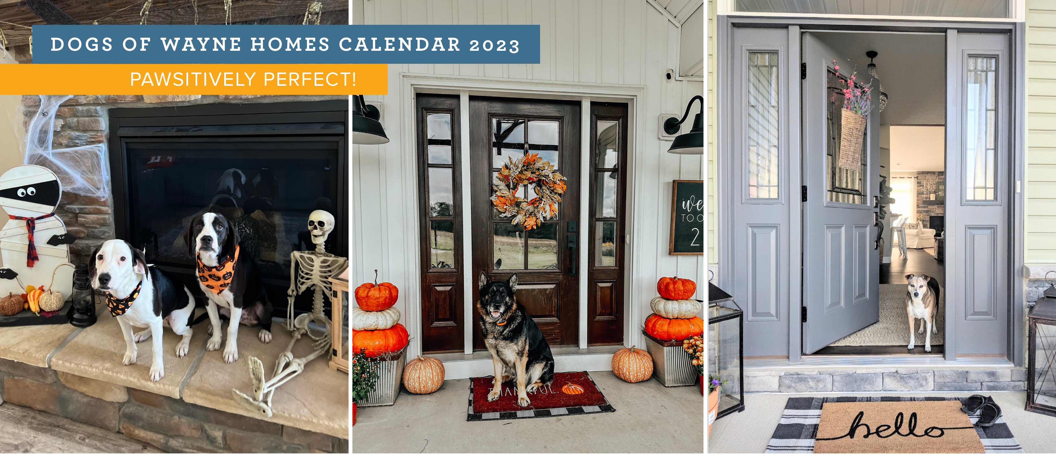 Dog Calendar 2023