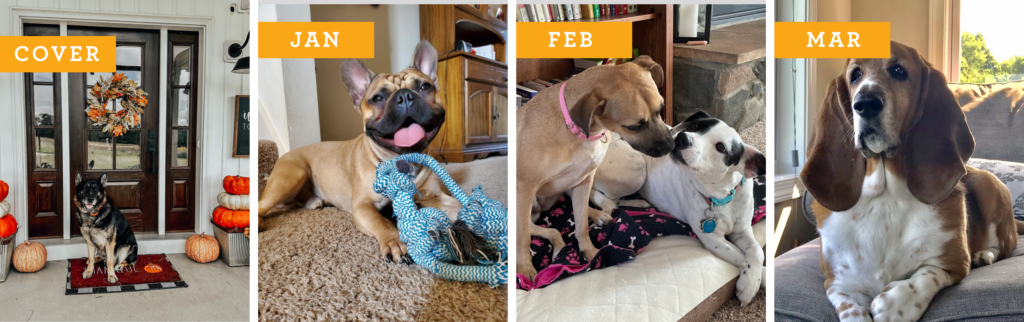 Dogs of Wayne Homes: Cover, Jan, Feb, Mar