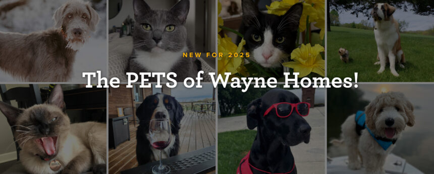 Pets-December